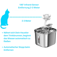 Lade das Bild in den Galerie-Viewer, TrinkFuxx Edelstahlbrunnen – für ein hydriertes Haustier  (33% Rabatt)
